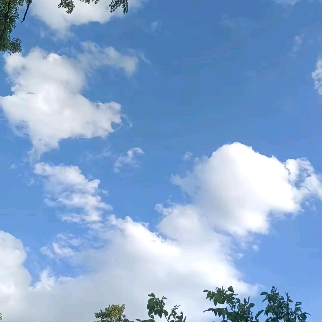 淑屿晴空