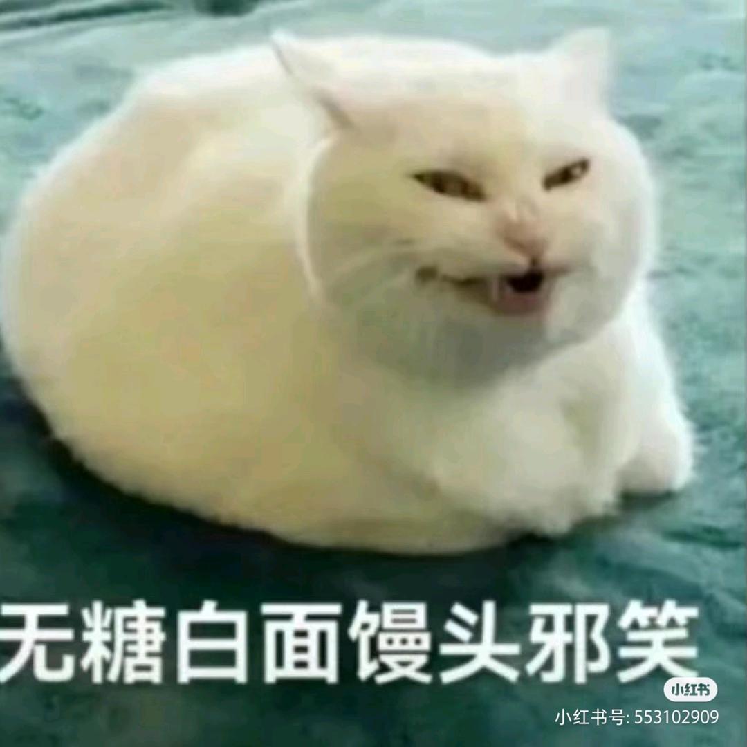 无糖白面馒头