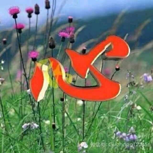 陈路