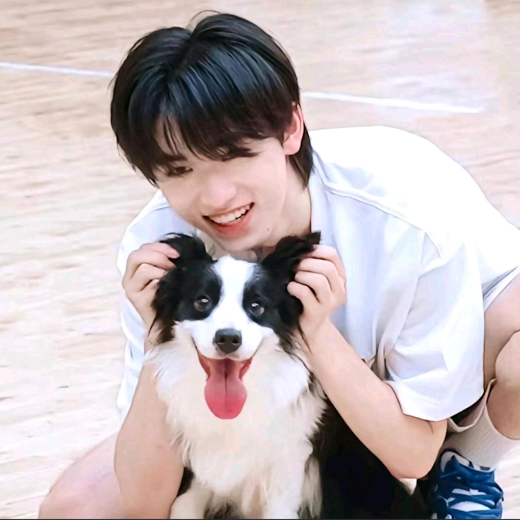 宋你一个小丸子