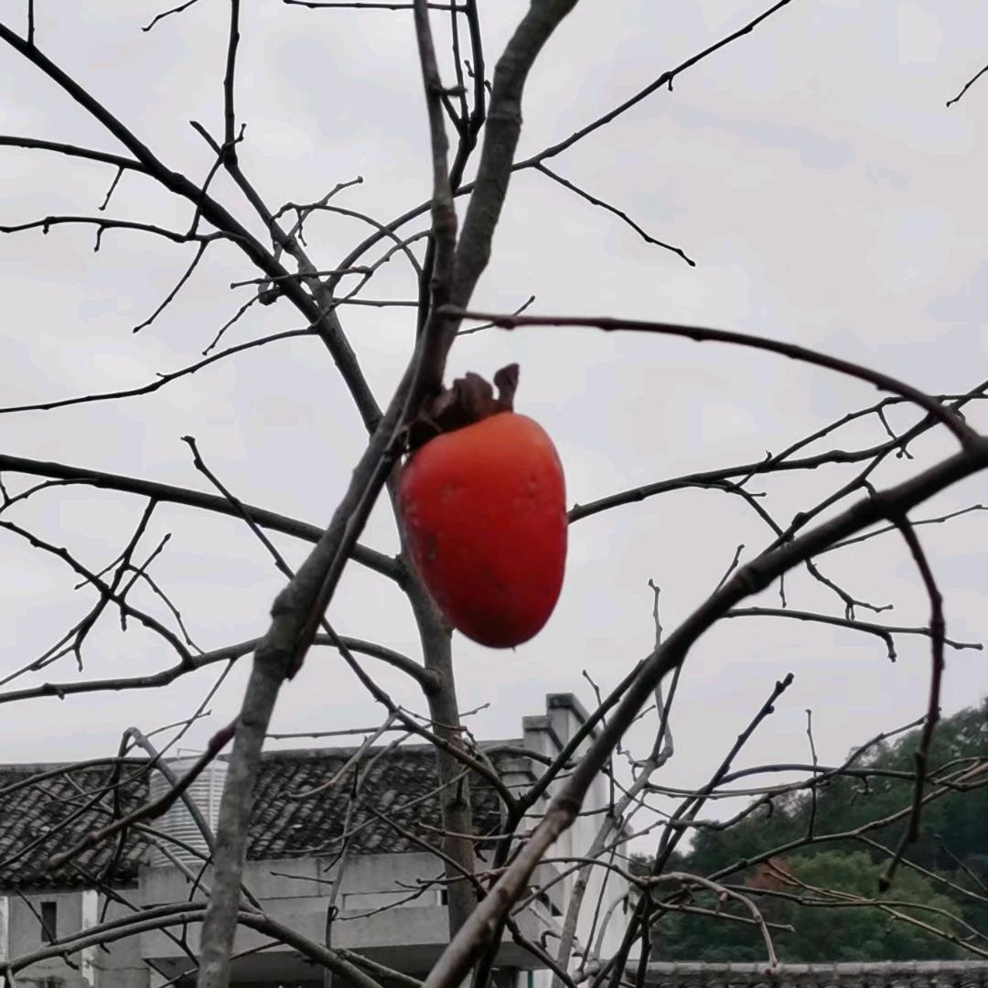 富裕