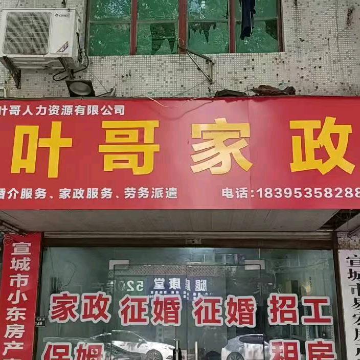 叶哥红娘~免费招工