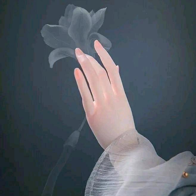 幕色芊华