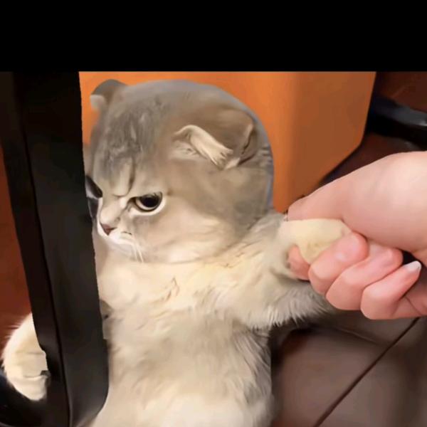 闪电大炮仗