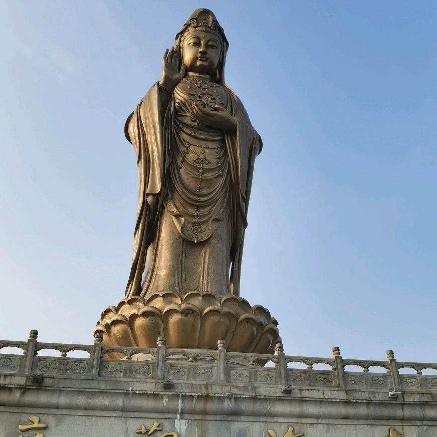 寒武纪寒王超超