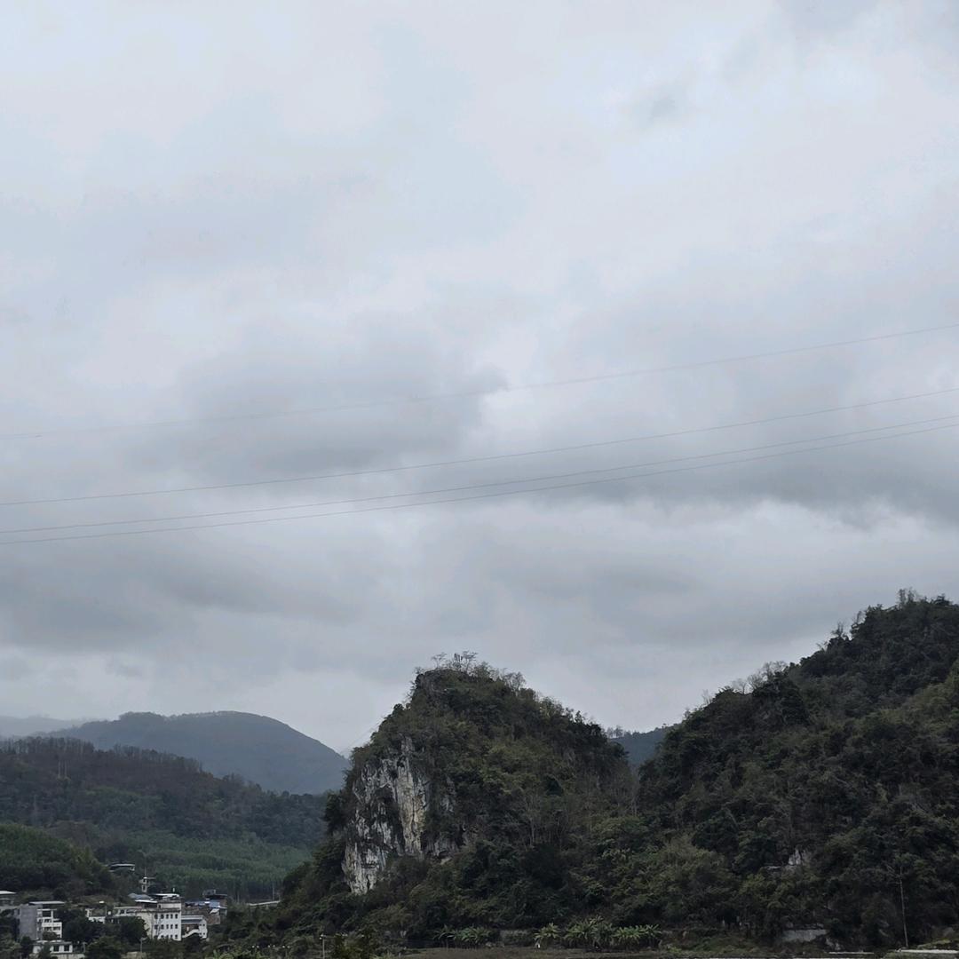劂㓰花