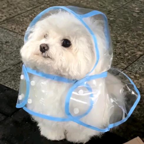 锦怡._