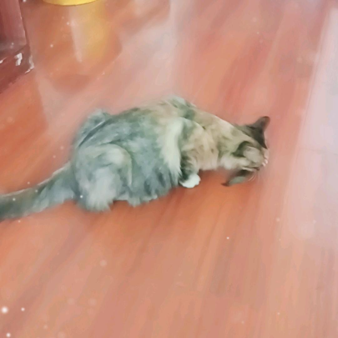 半生已过