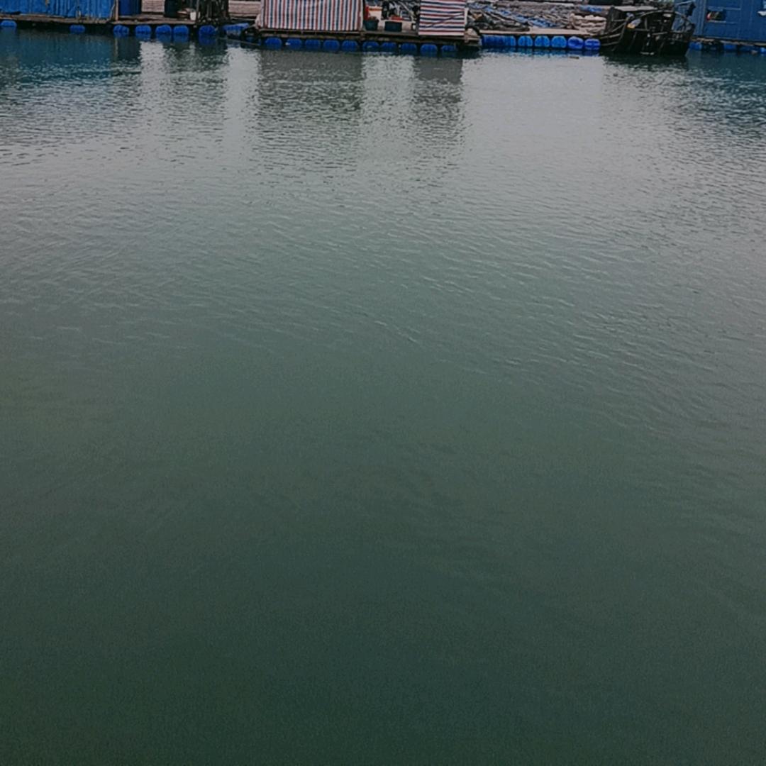 开开心心每一天