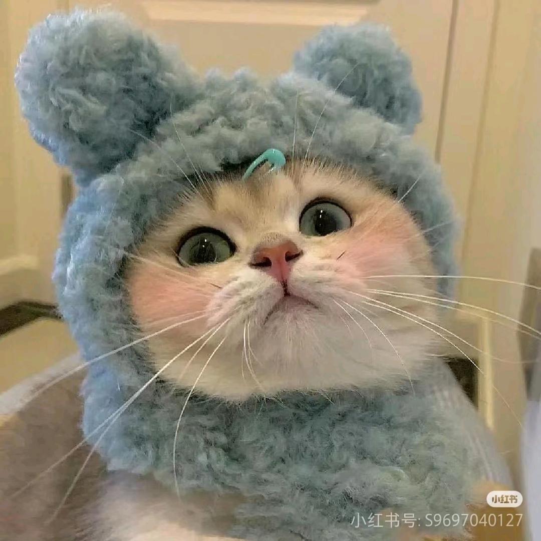 阿缘
