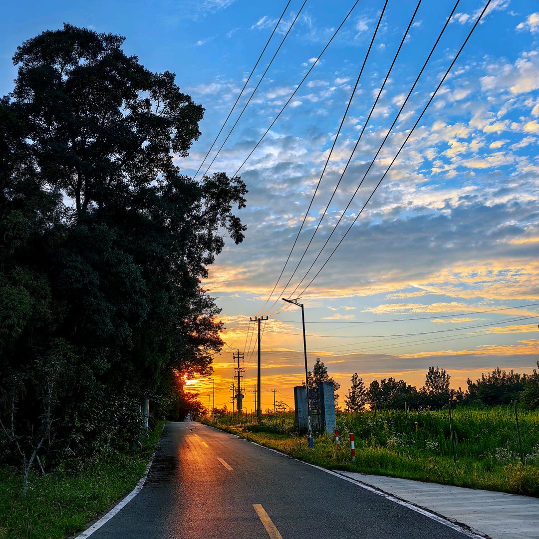 乡下小院的闲散时光