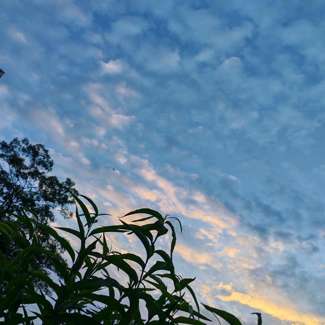 🥀᭄田田见💕洪烧肉💕
