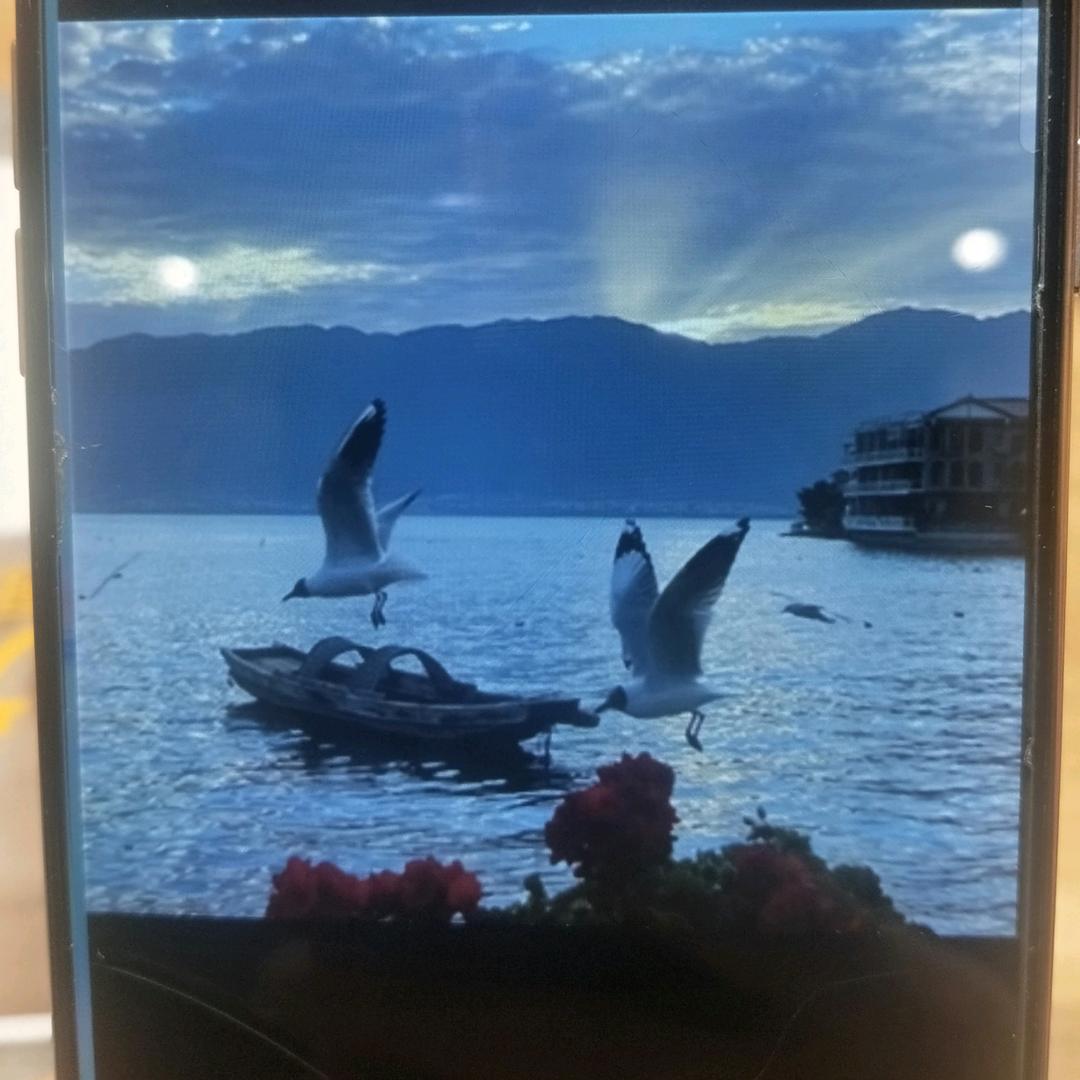 汉祥哥(上海翔哥)