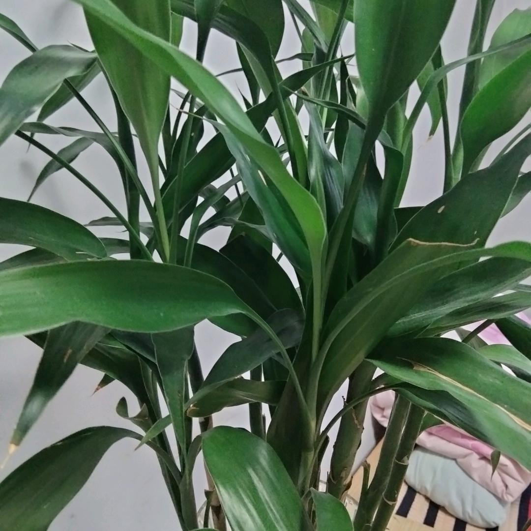 愿余生一切安好