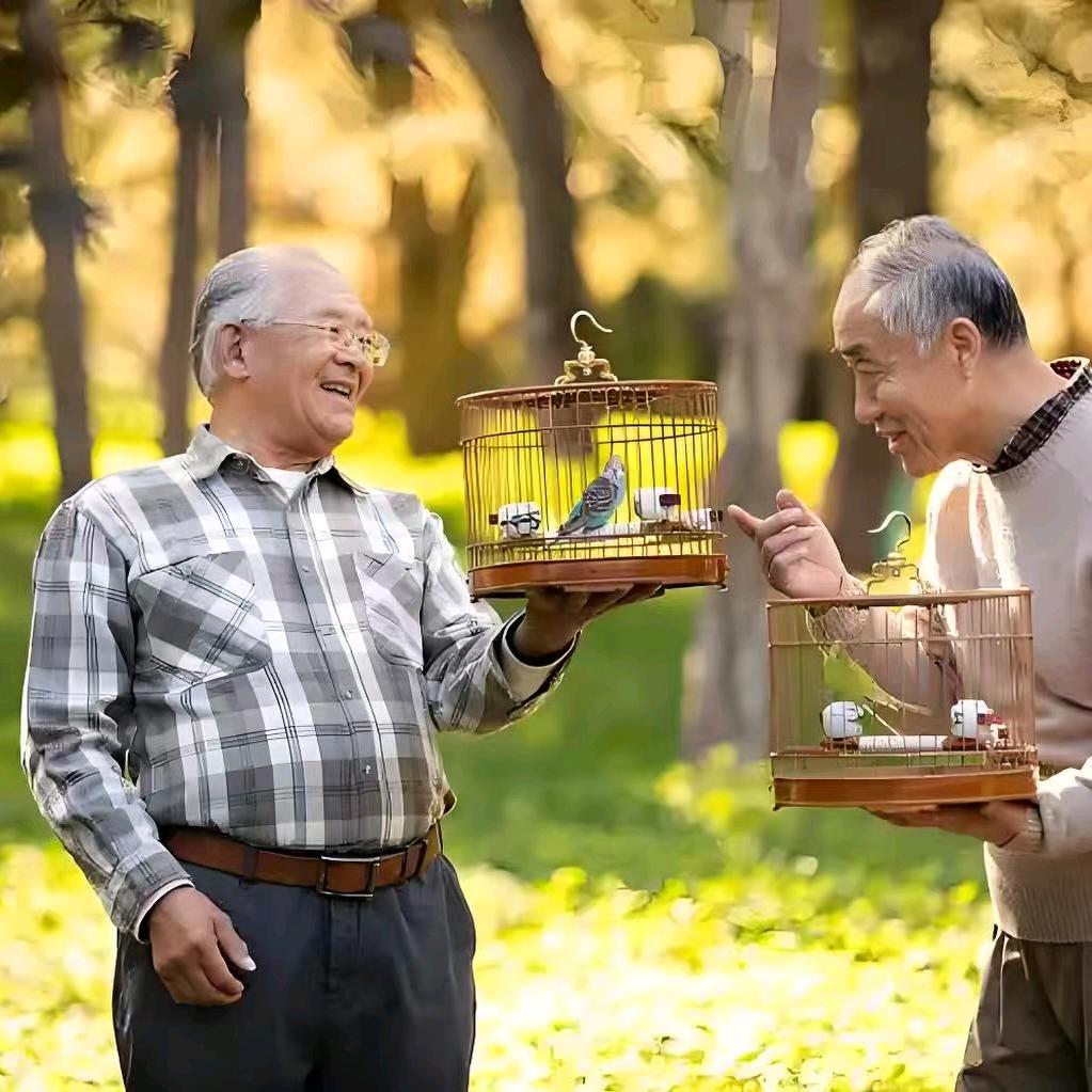 老有所乐