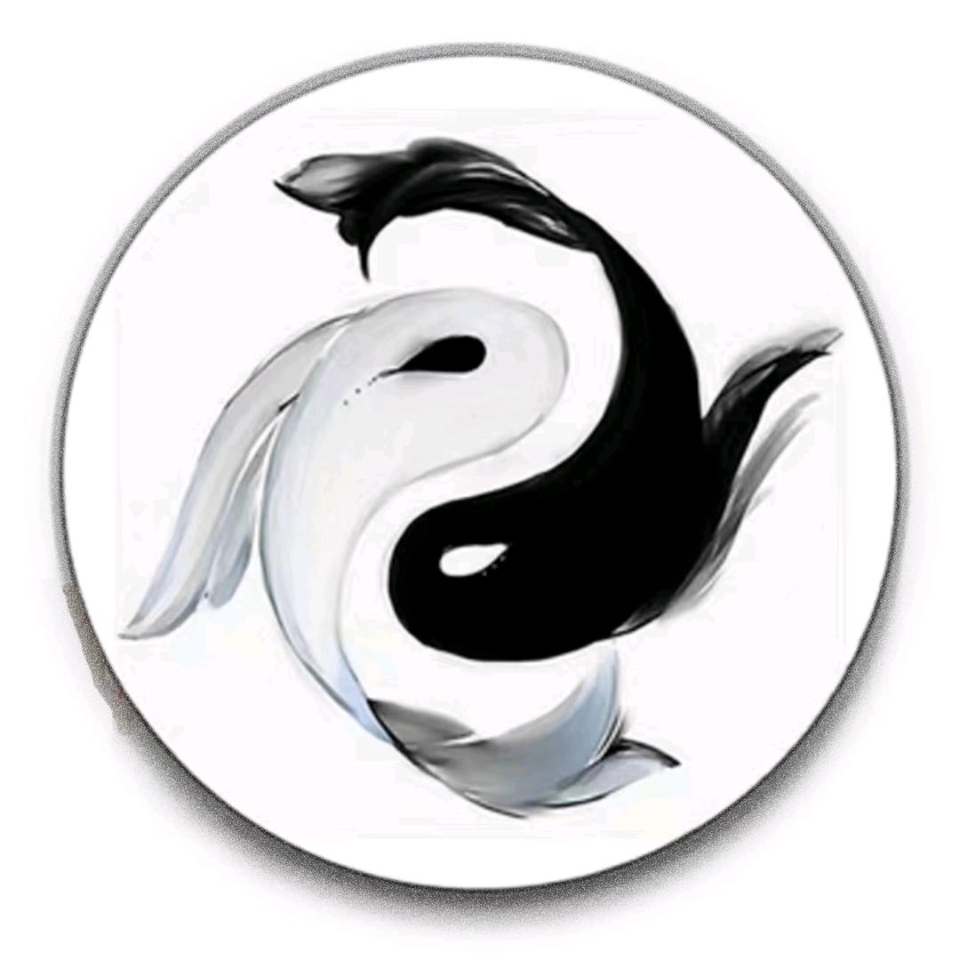 观道～