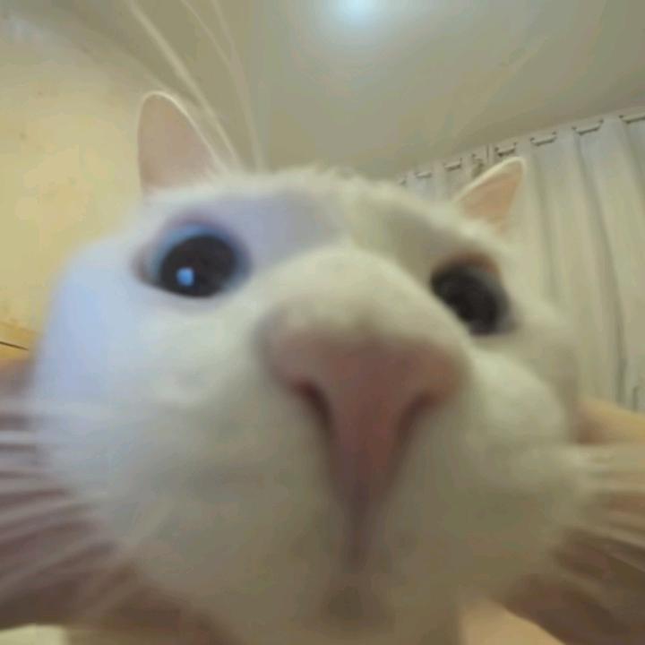 风不温柔說要冻死你個憨憨