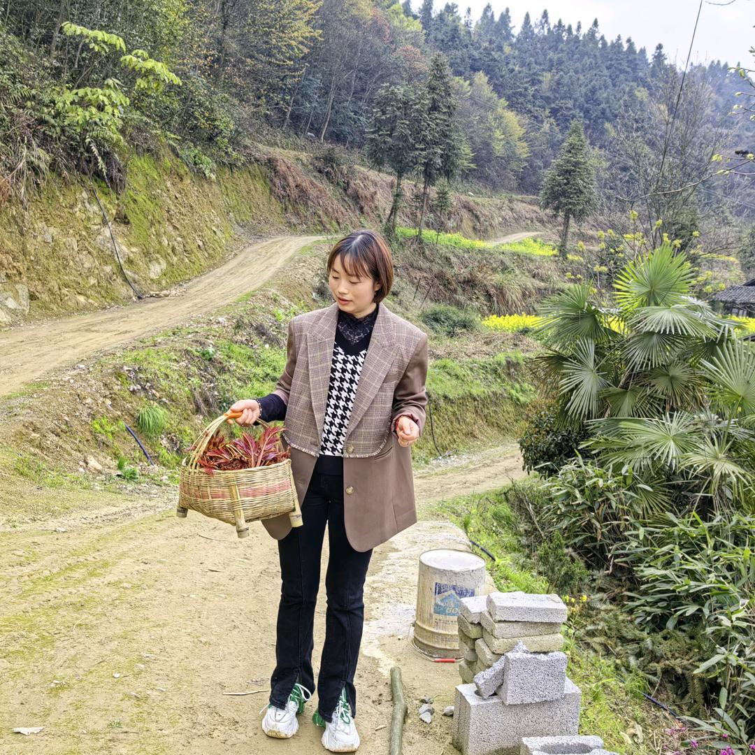 高山厨娘农特产