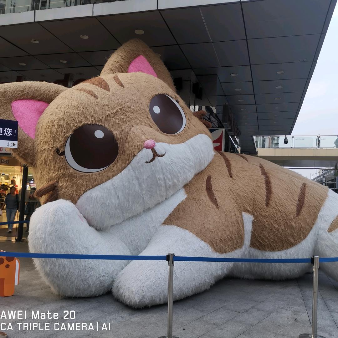 任我爽
