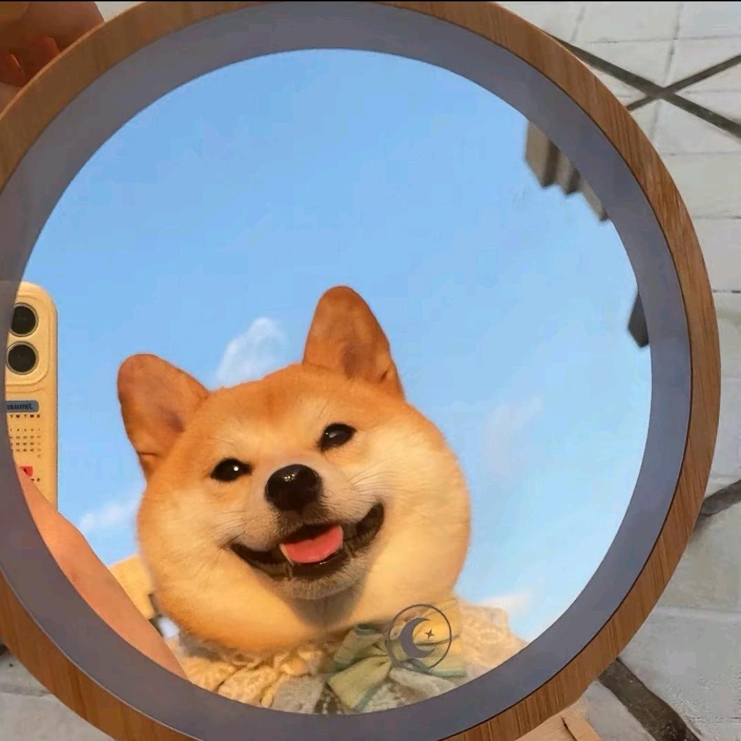 嘻嘻不嘻嘻