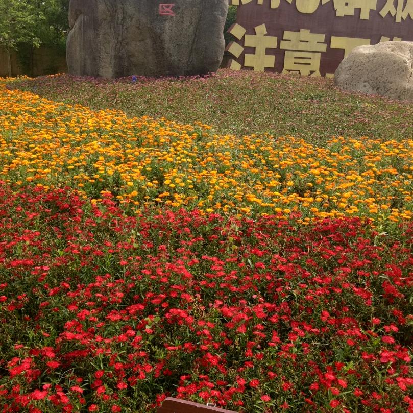 有你而幸福