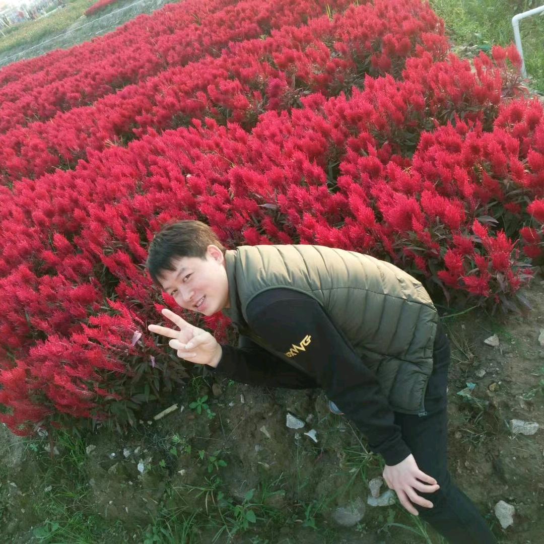 简单生活