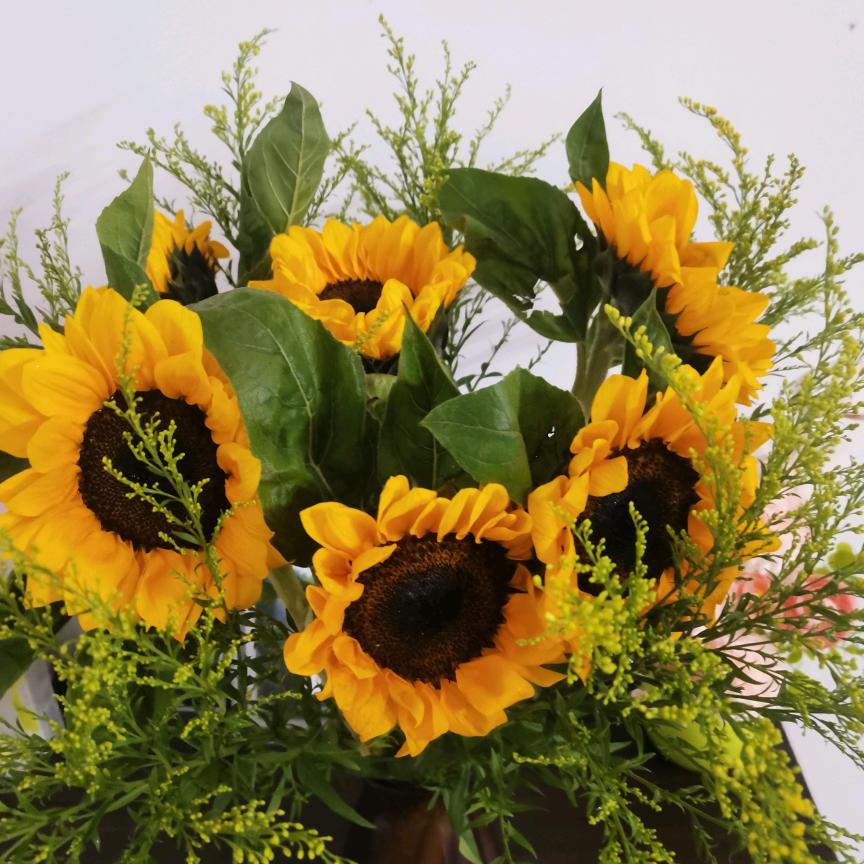 ℘࿐微笑向暖🌱᭄ོ