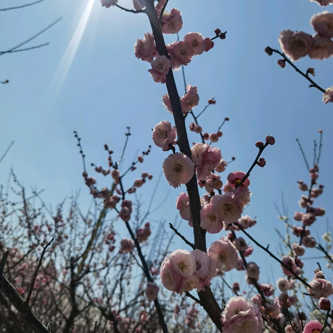 江湖有缘再见