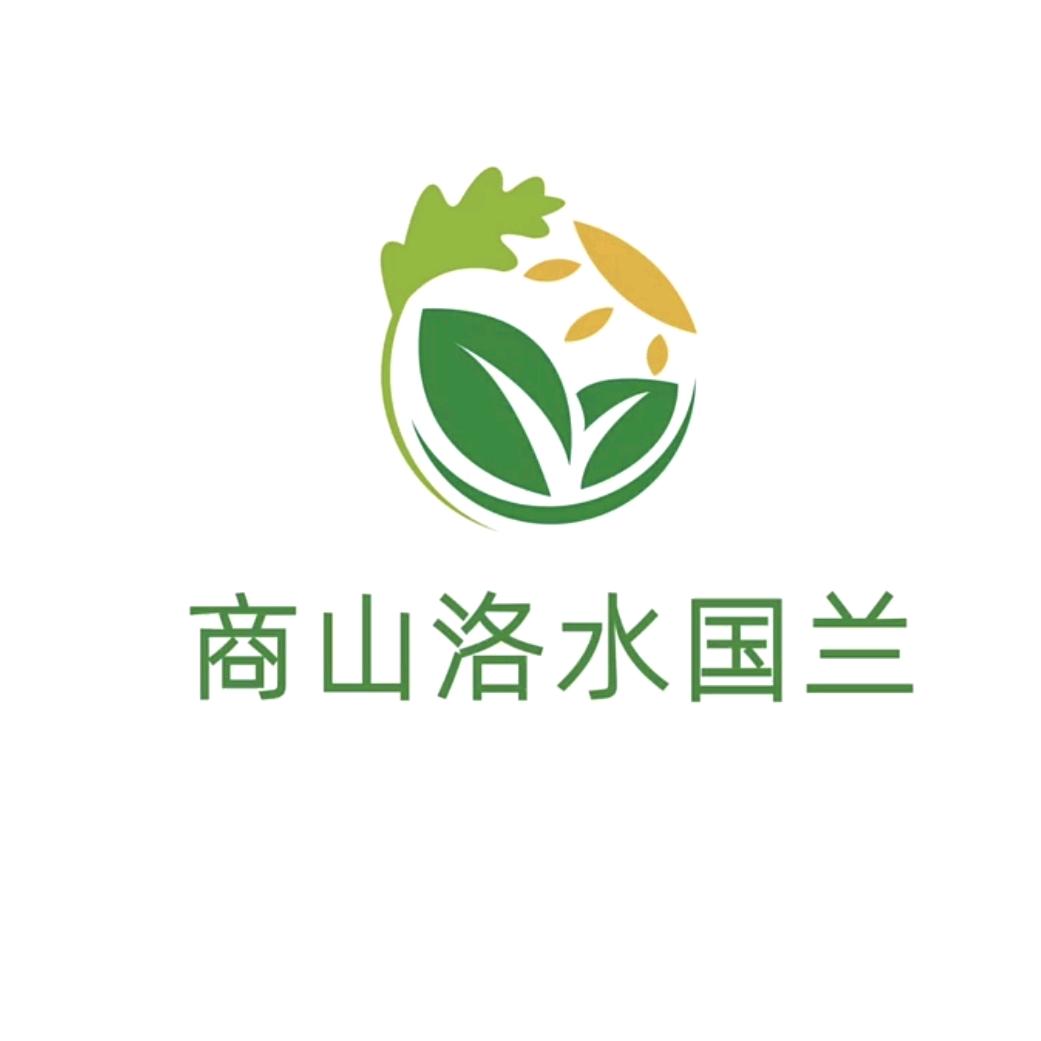 商山洛水国兰