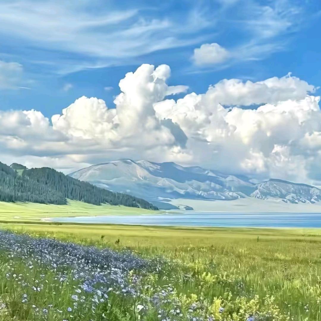 杨帆启航