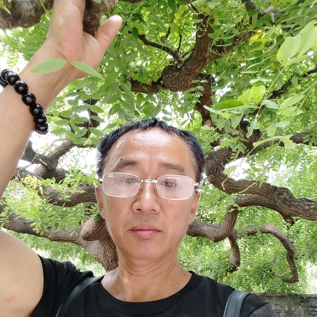 云游四海