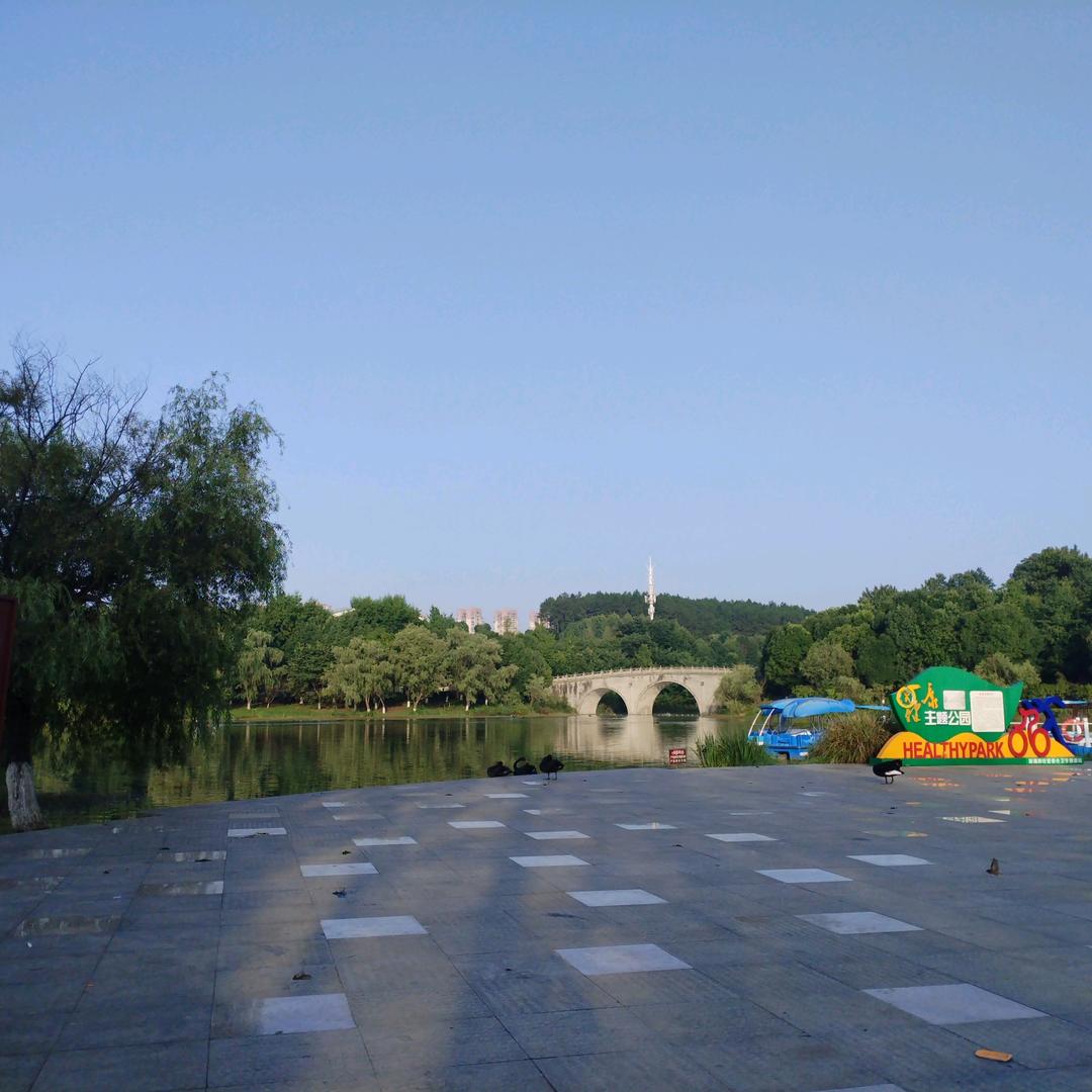 乐宝小号