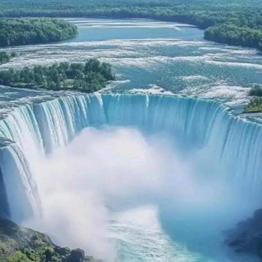 🌊金生水起🌳