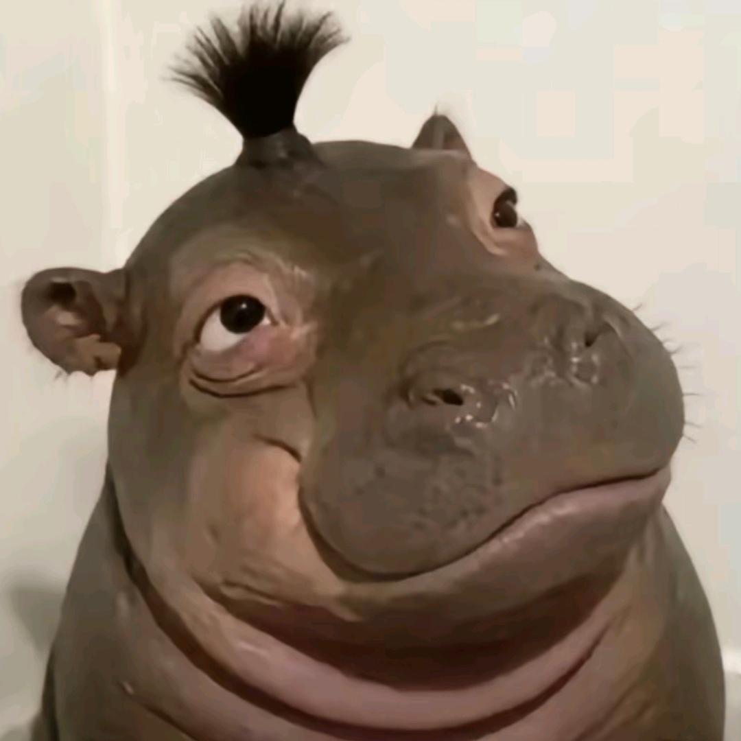 阿强