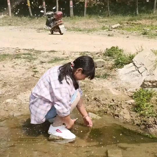 龚雪