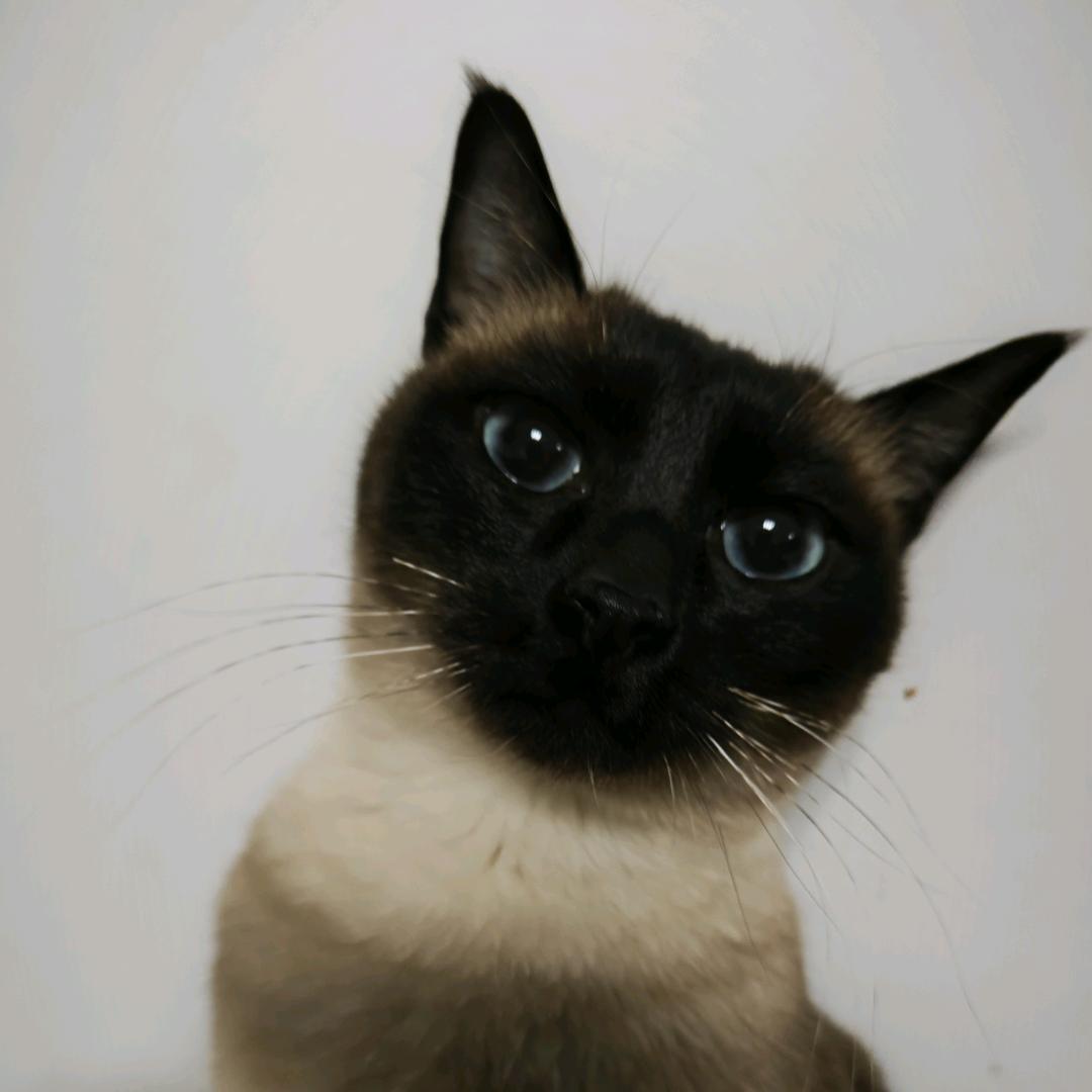 🇨🇳🇨🇳🇨🇳🇨🇳