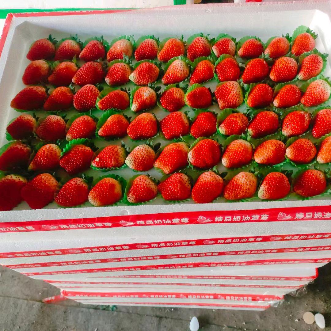 徐州草莓代办。   王梦楠