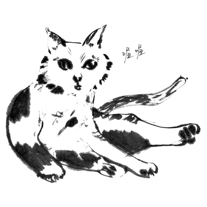 Llll🐑（没抢到礐嶨演唱会门票版