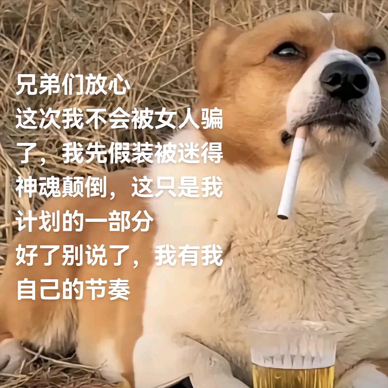 人老    实话不多