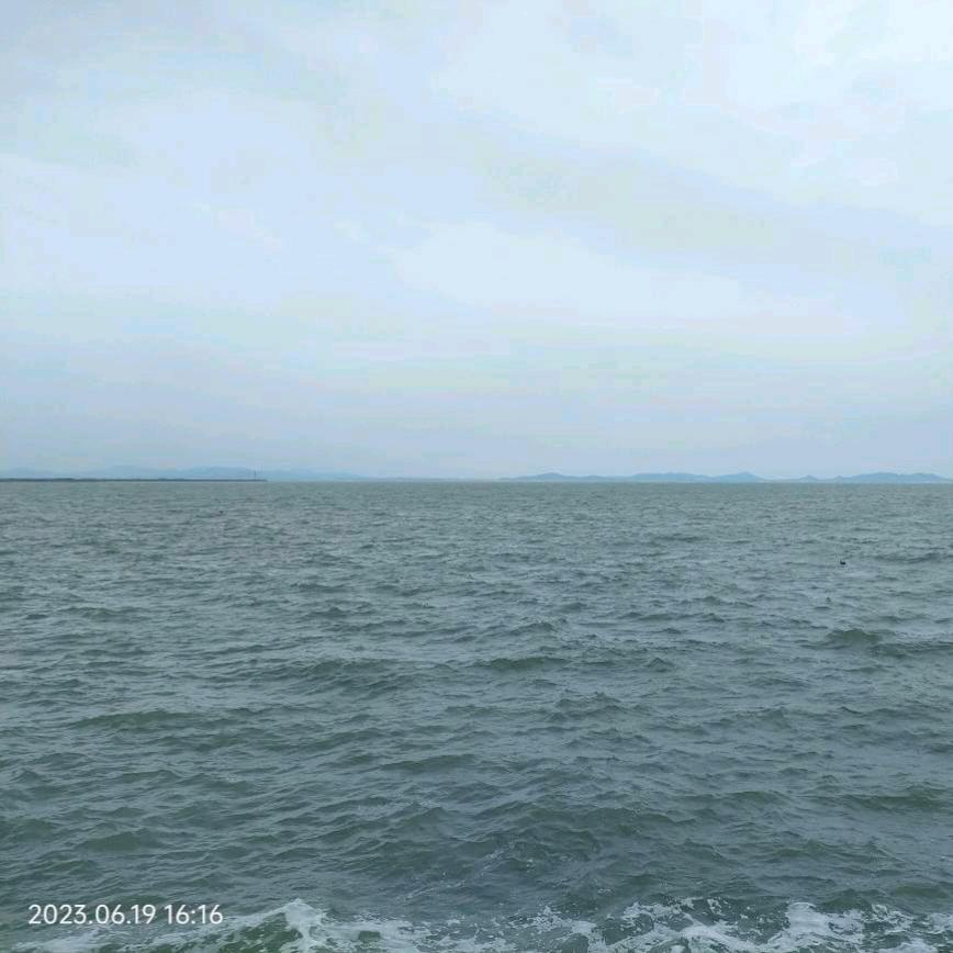 智者不入爱河