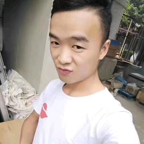 小燕子。。。。。。