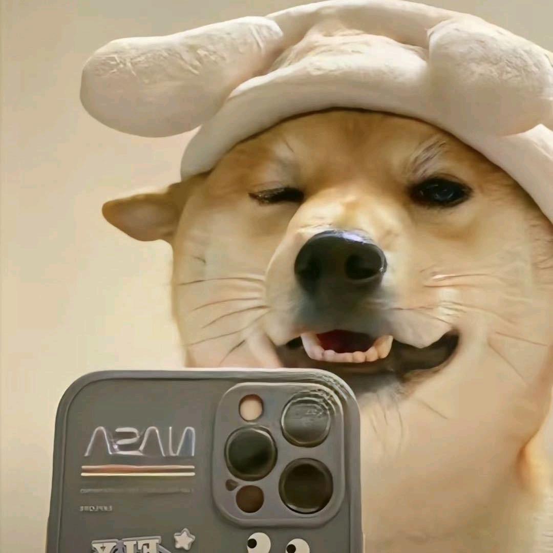 师傅，八十一难差一难呐(>_<)