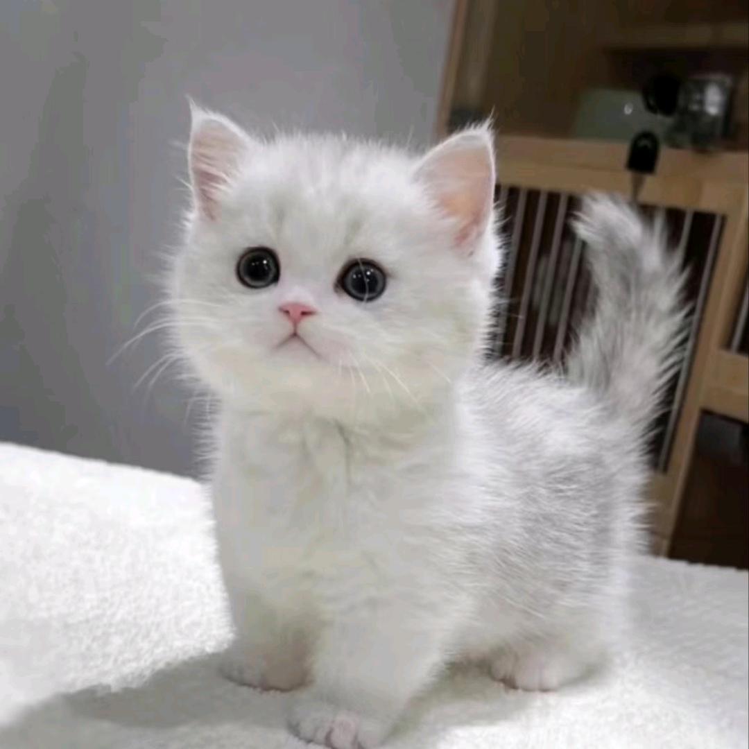 努力的过好每一天