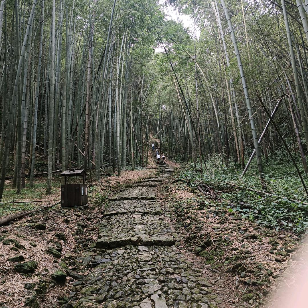 ☆凌峰￥