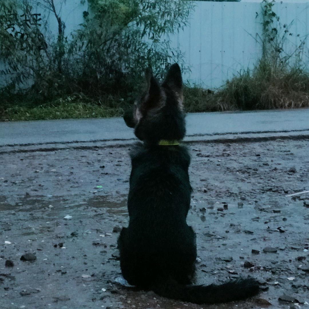 ৯᭄冷白苜ꦿ້໌ᮩঞ