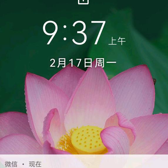 李老师