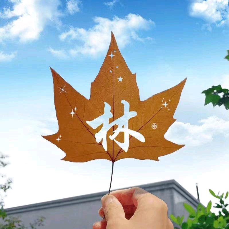 子风
