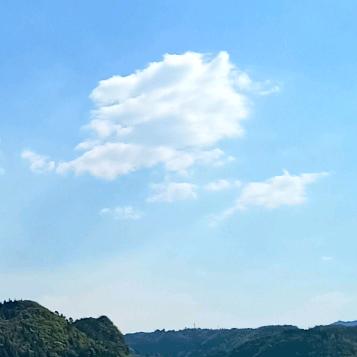 觉醒
