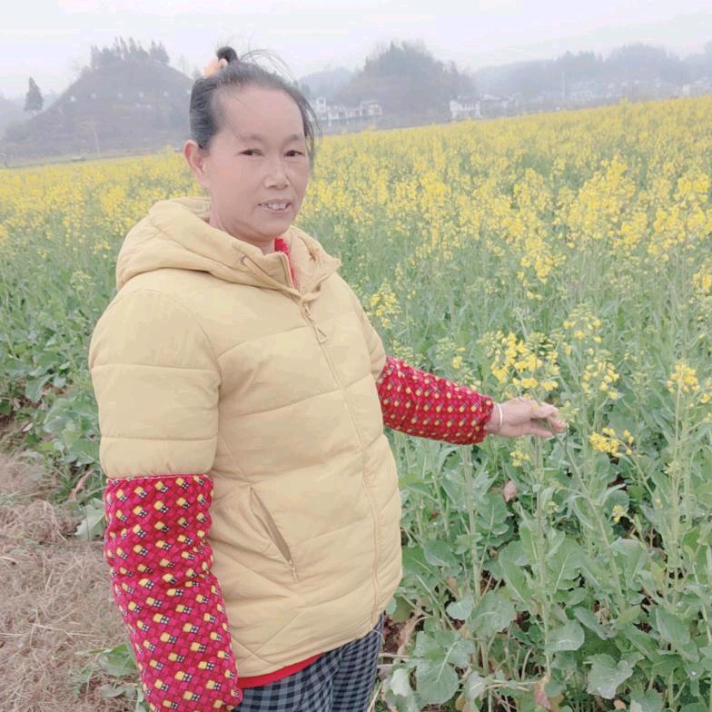 朱继芬