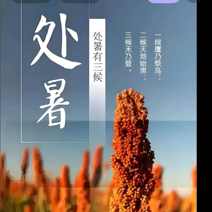 处暑